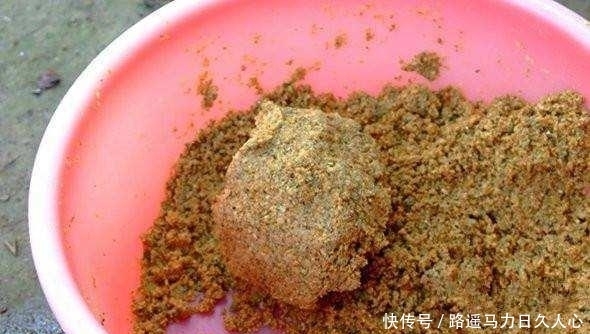 「微调」黑坑调漂,别再说微调找口,调灵钓钝其实就看鱼口