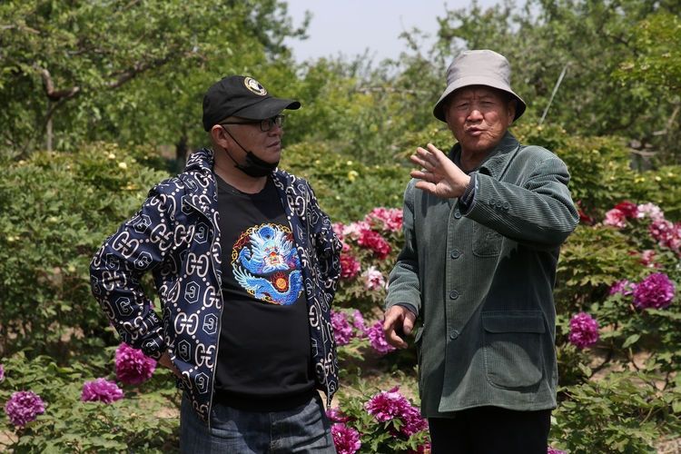 『欣赏牡丹花』71岁农民耗时40年家门口建牡丹园,1株镇园之宝10万不卖,啥样子