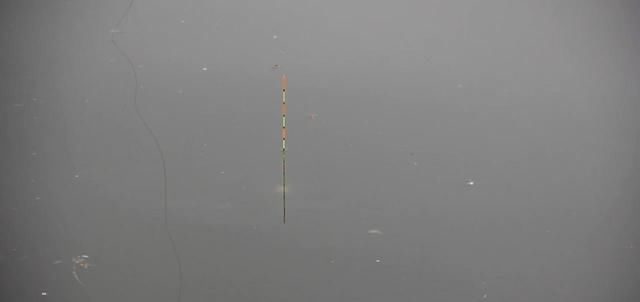  「钓到鱼」钓鱼:新钓友常犯的几种错误,记住这几点,钓鱼不再难!