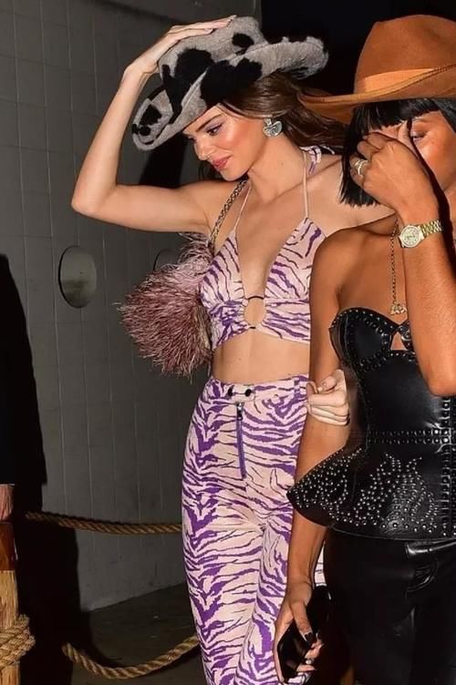 浅紫色：浅紫色豹纹套装秀身材，性感妩媚，肯达尔?詹娜化身狂野女孩
