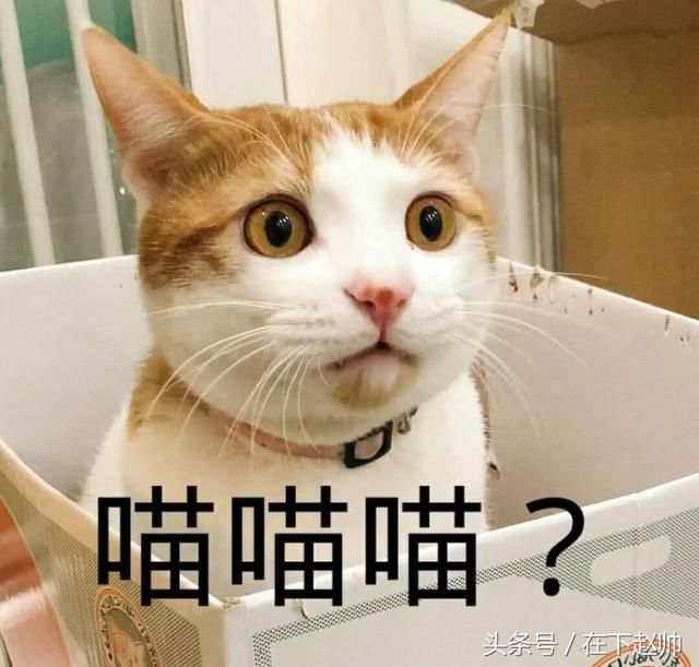 广西艾滋病女疯狂传染男人，只为报复社会？真相让人目瞪口呆