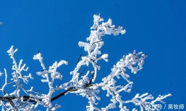  冰雪：灌阳风情：宝盖山的冰雪世界