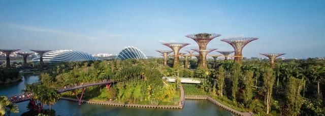 上海出发、无需中转，客运航班能直飞这么多国外目的地！