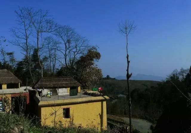 村干部通知：农村“铁命令”，明年1月15日实行，农民提前了解