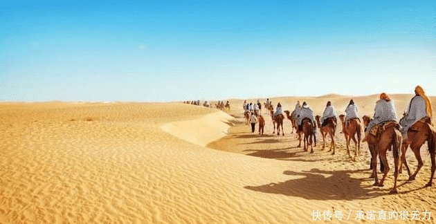  环境|假如青藏高原不隆起，我国南方是什么环境