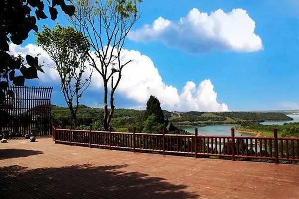 『美景』绵阳初夏最美的摄影美景地,竟然藏在这里