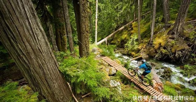 加拿大最宜居的4个地方，逃离城市，在这里治愈焦虑