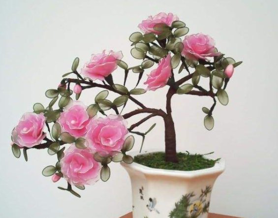 「铜钱草」此几款喜水植物,越浇越爆盆,花叶蹭蹭往外冒,花色绚丽多彩