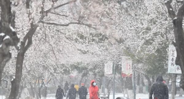  『吉林省气象』雨！雪！冰雹！长春天气“任性”的原因是啥？