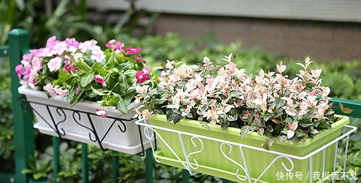 『后花园』家中的后花园,其实你可以把阳台装扮成这样!