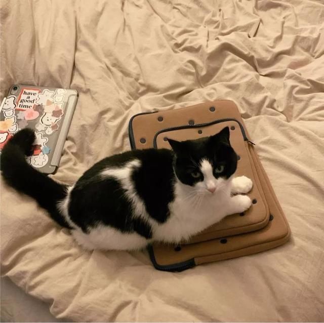 女生千万不要这样发朋友圈