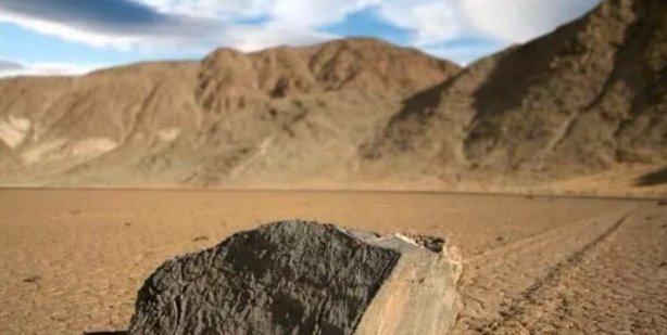 自然界真是神秘，会走路的石头，有谁相信它的存在呢？