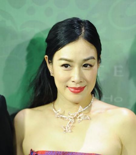 当小S与钟丽缇同穿抹胸裙，网友：终于知道丰腴和肥胖的差距了！