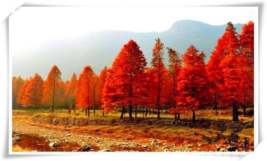  【农村】现在的农村，还有哪些暴利生意？这里推荐几个供参考