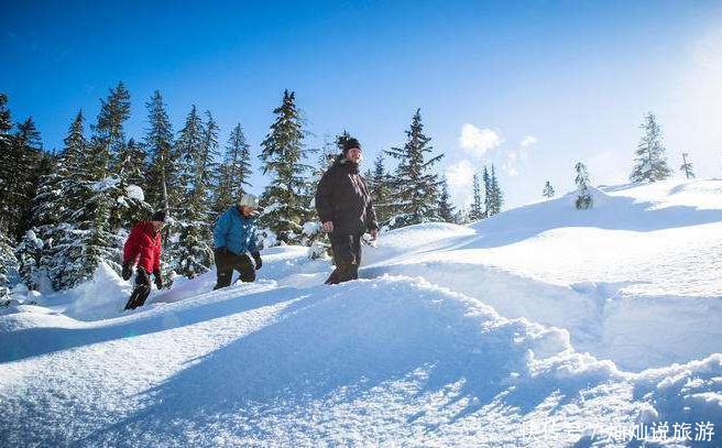 加拿大记者发表言论:赶紧欢迎中国游客,别跟中国较劲