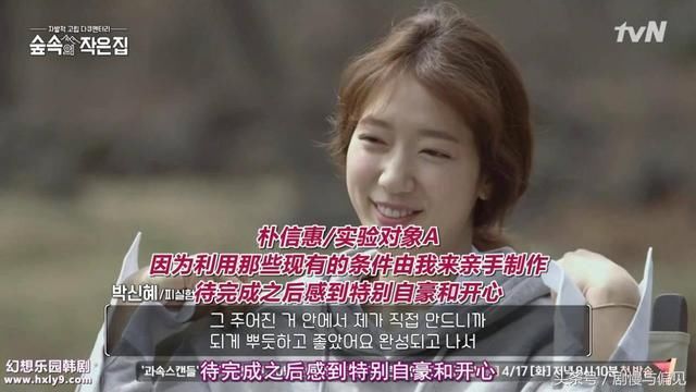 罗英石的林中小屋,为何非苏志燮和朴信惠不可