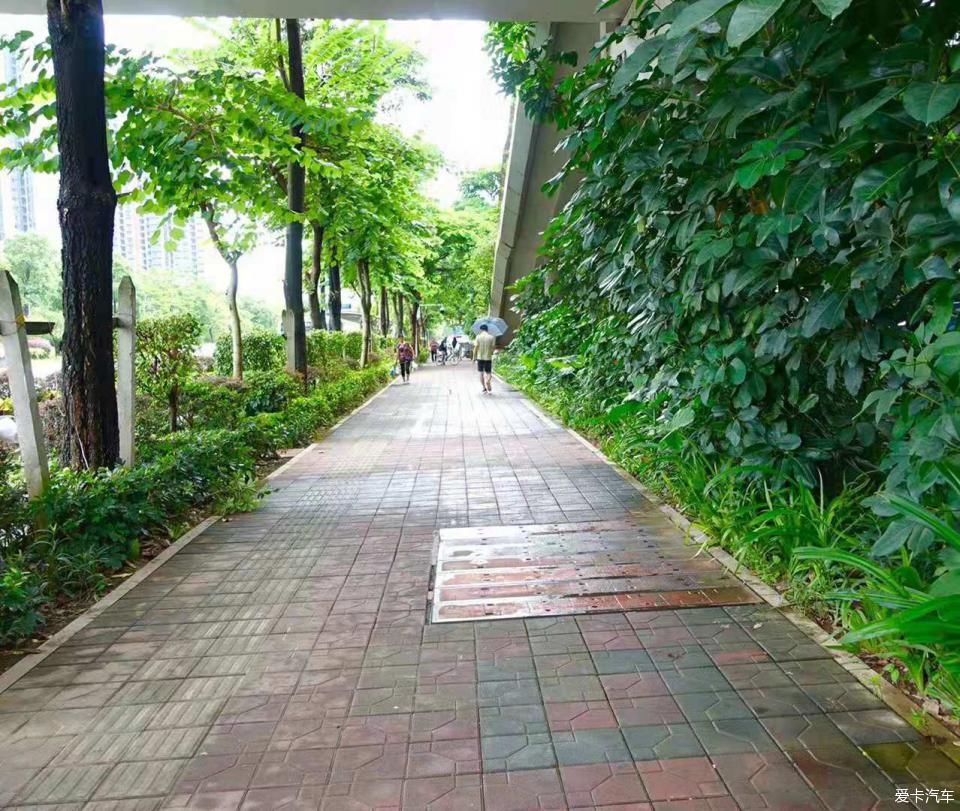 陪朋友深圳一日游