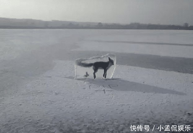 蜜蜂会让我们想到什么 t018d086a3fb88fecaf.jpg