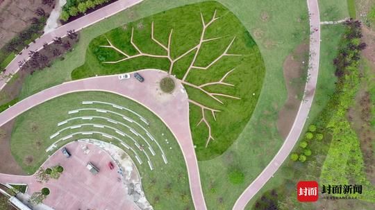 新区@重庆主城区再添智慧公园 两江新区云树公园建成开放