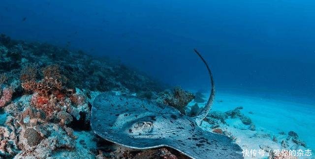 本来是世界上最不发达的国家，却突然成了南亚首富，全靠中国人！