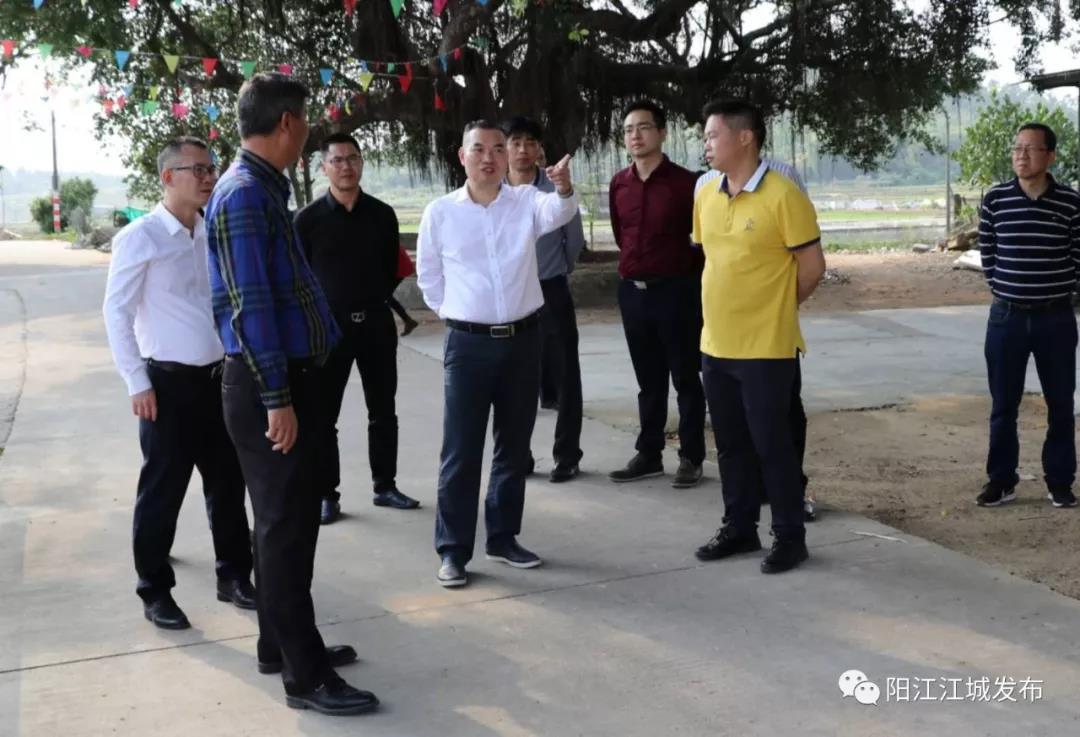江城区:陈基文调研扫黑除恶、乡村振兴、基层党建等工作