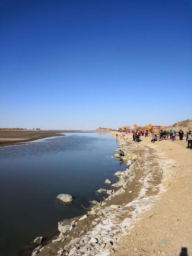 世界上唯一存在的沙漠胡杨林景区，内蒙古额济纳弱水胡杨风景如画