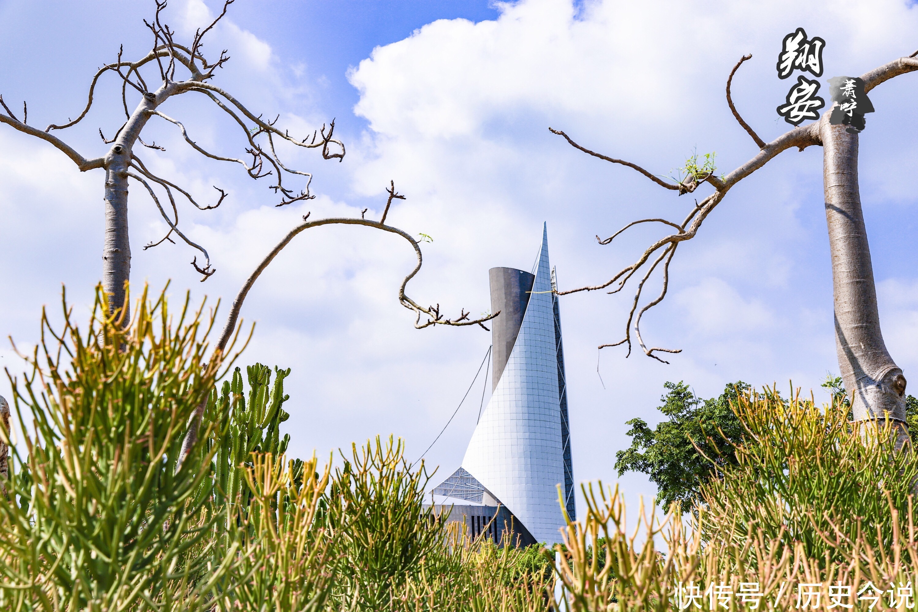 这条醉美海岸线，有90%的厦门人不知道