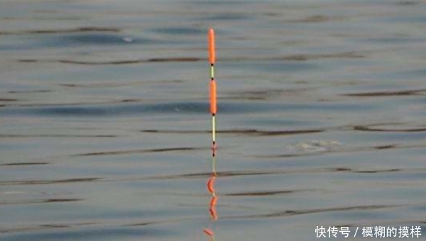  『装备』如果野钓只能带一套装备？那肯定是矶竿滑漂，野钓大鱼最强钓法！