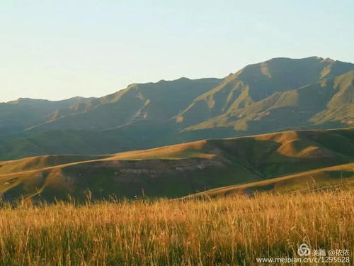 醉在托乎拉苏草原上