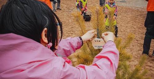 日本人花14年跑到中国治理沙漠,游客发现了背后的意图！