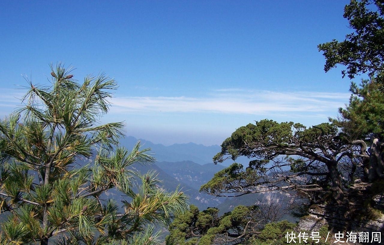 “原始森林”你去过吗?