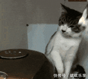 参加活动，姑娘穿着报纸做成的衣服，真是太时尚了