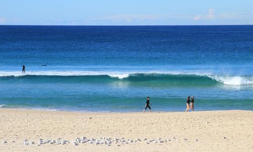 世界上唯一一个国土覆盖整个大陆的国家，被称＂骑在羊背上的国家
