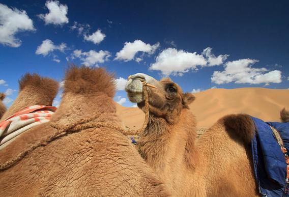 中国最“败家”的寺庙！耗费大量精力建造，现今仅有一人孤独坚守