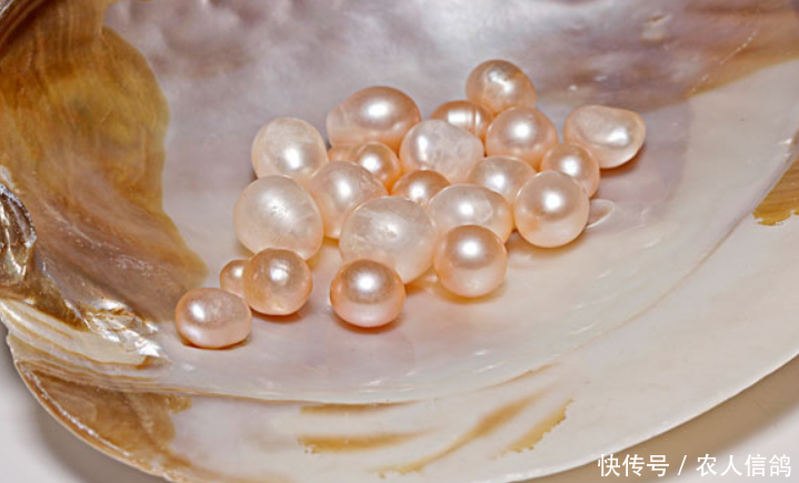 农村集市上出现新式“骗局”，农民以为赚了，老板却在背地里笑