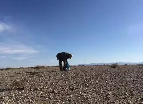 那么多人冒死深入罗布泊，只为捡这种石头！