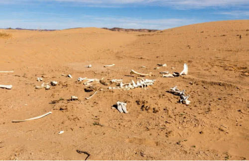 为什么我国要在西藏建立无人区，难道里面有什么秘密吗？涨知识了