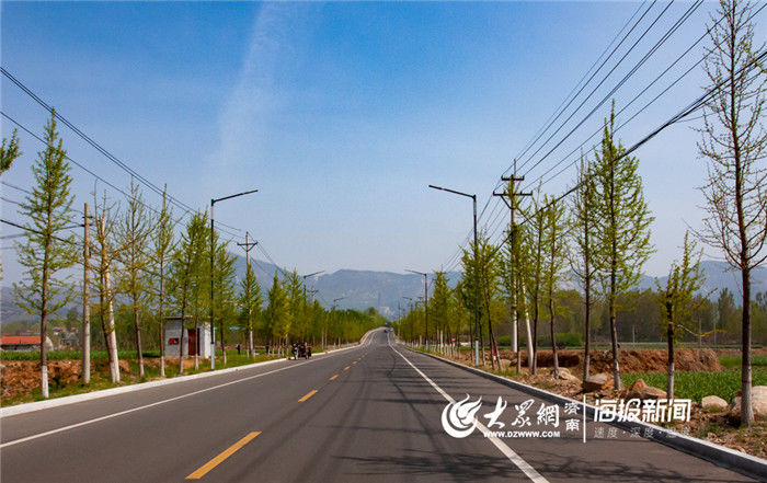  『荒山』羊里镇今年将完成600亩荒山绿化