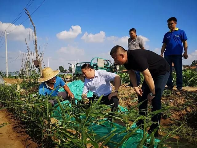 华为们突然被“点名”，意味着什么？