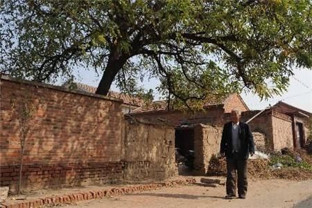 农村宅基地使用权转让，这六种情况无效