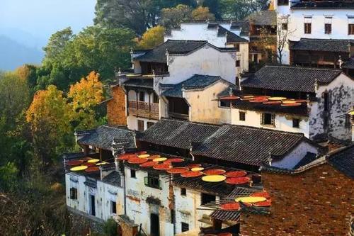 再过一个月，这些地方就美成仙境了！