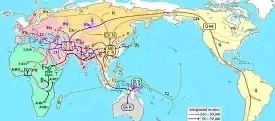 英国人口迁移_报告 英国的人口迁徙与房价的关系(3)