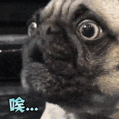 罗志祥又陷吸毒传闻?突发面色惨白、疯踹地板!周扬青整容过度遭嘲