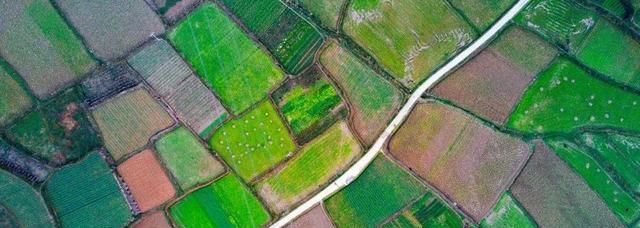  #恭喜#驻马店农村有房有地的恭喜！国家新政策来了