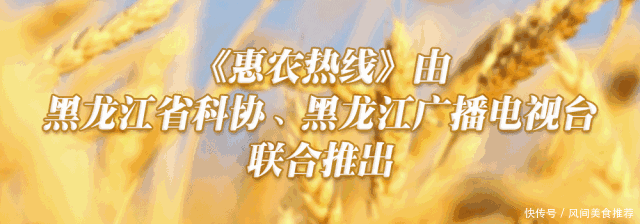  「冷风」霜冻来了！今天起真要变天了，阵雨 冷风 大降温…