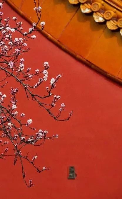 趁着清宫剧大火，故宫把文物上的颜色变成了20款口红色号