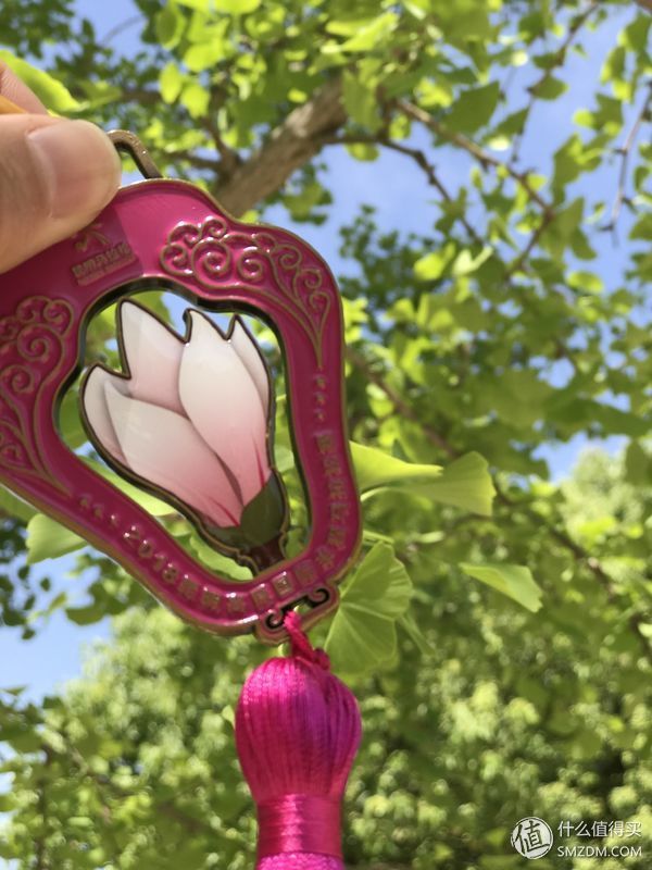 NIKE 超级飞马开箱小记