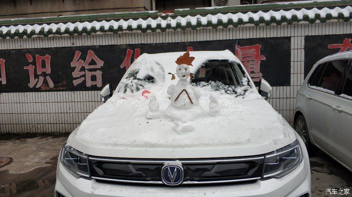 老司机看不了了啊