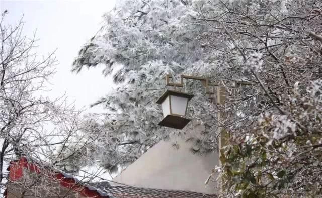 看贵州的惊艳雪景，期待一睁眼的惊喜