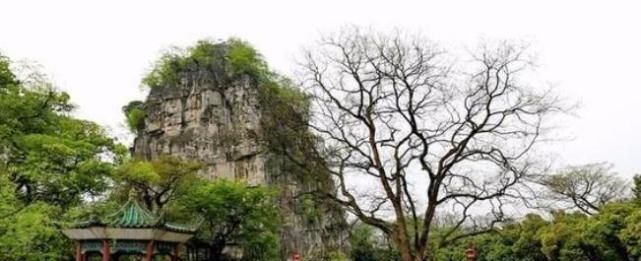 国内最“美”的大学，坐落靖江王城风景区，风景丝毫不输武大！